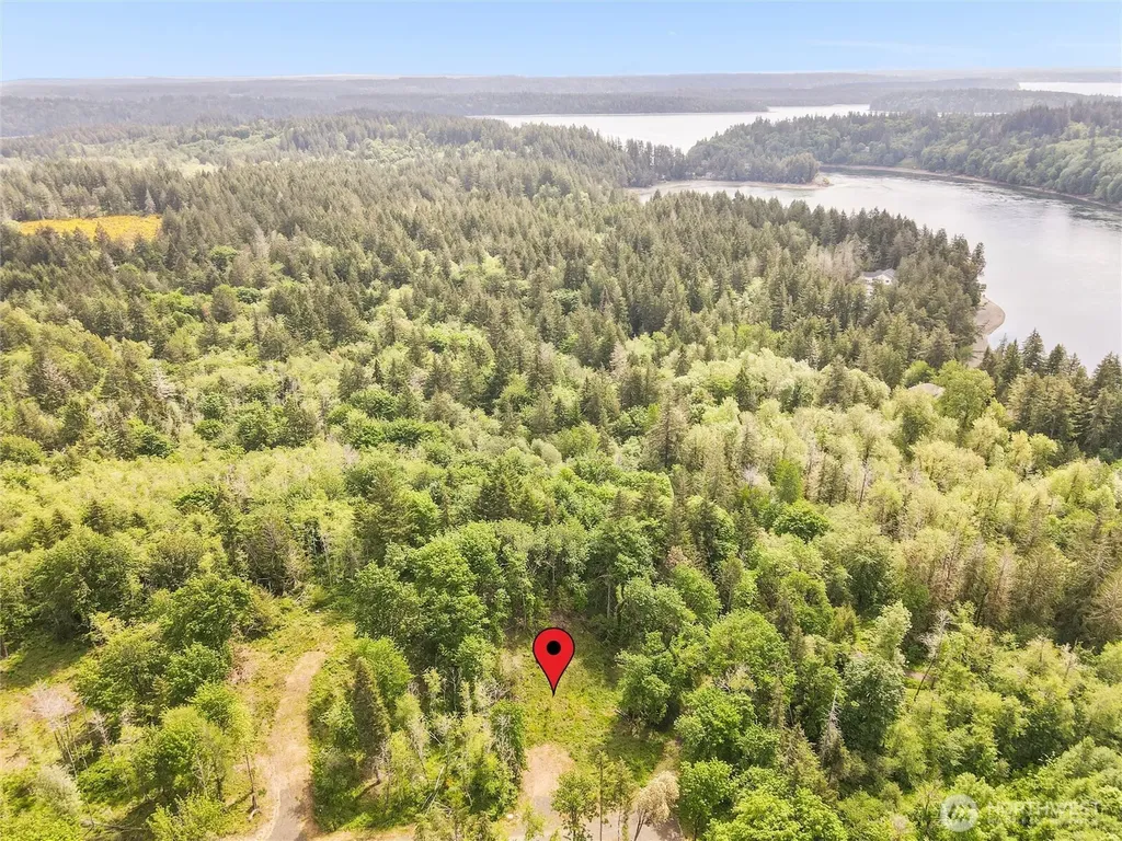 171 E Cascara Cove Lane Shelton WA 98584