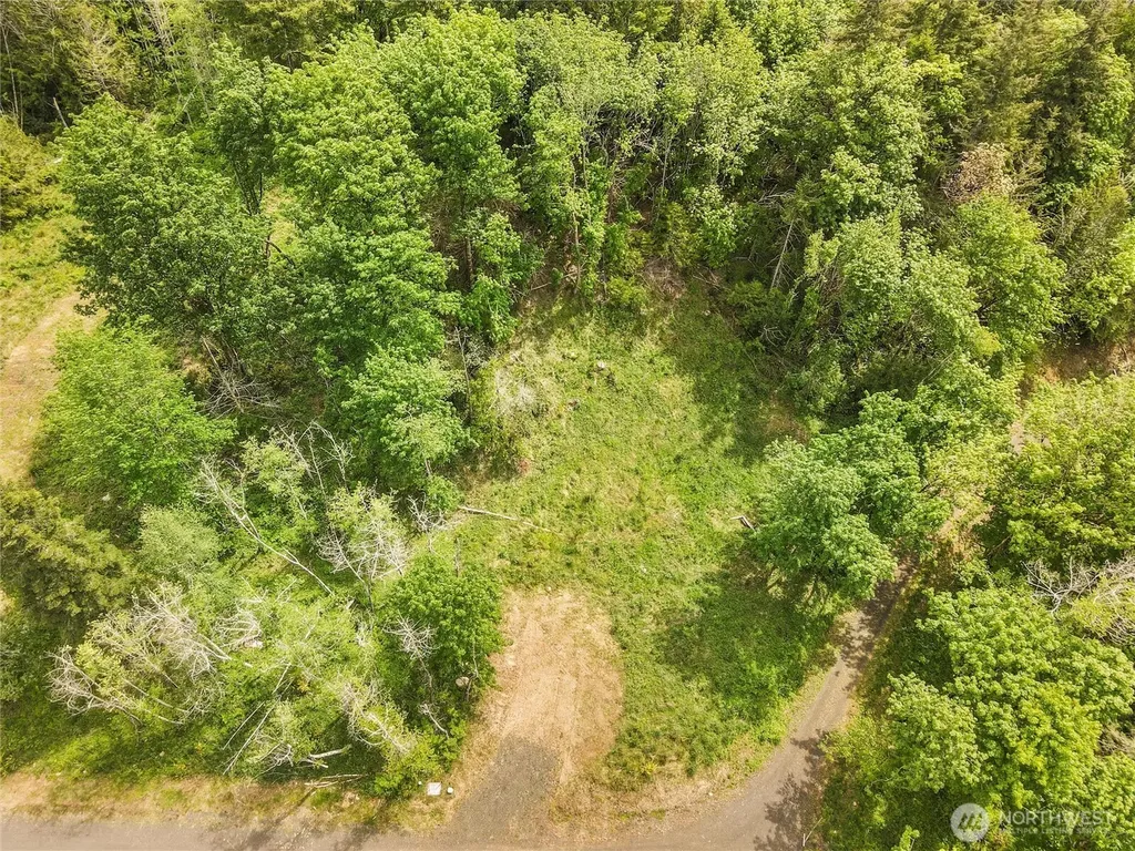 171 E Cascara Cove Lane Shelton WA 98584