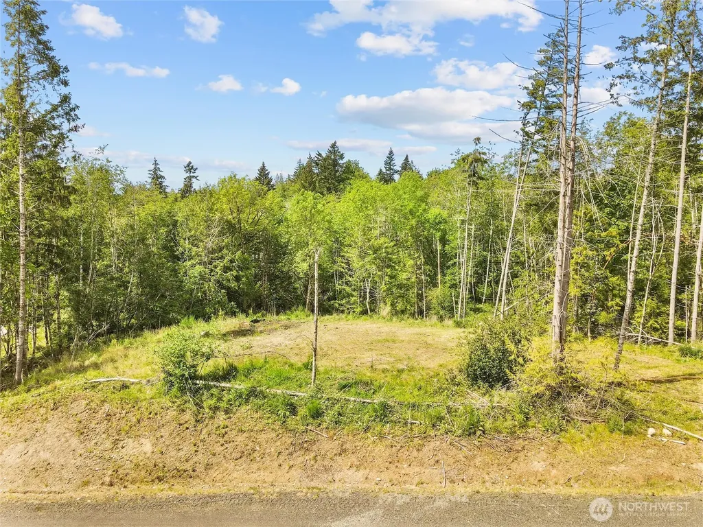120 E Cascara Cove Lane Shelton WA 98584