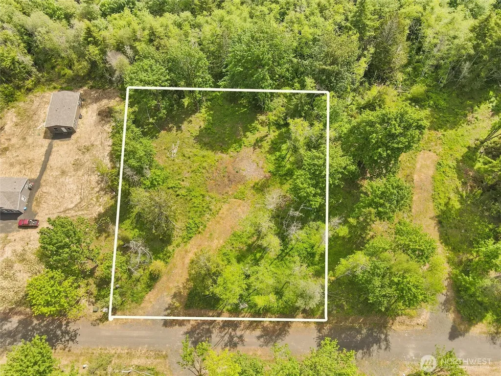 91 E Cascara Cove Lane Shelton WA 98584