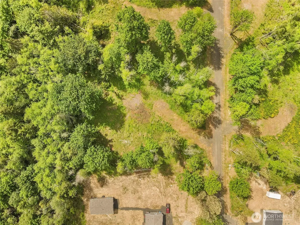 91 E Cascara Cove Lane Shelton WA 98584