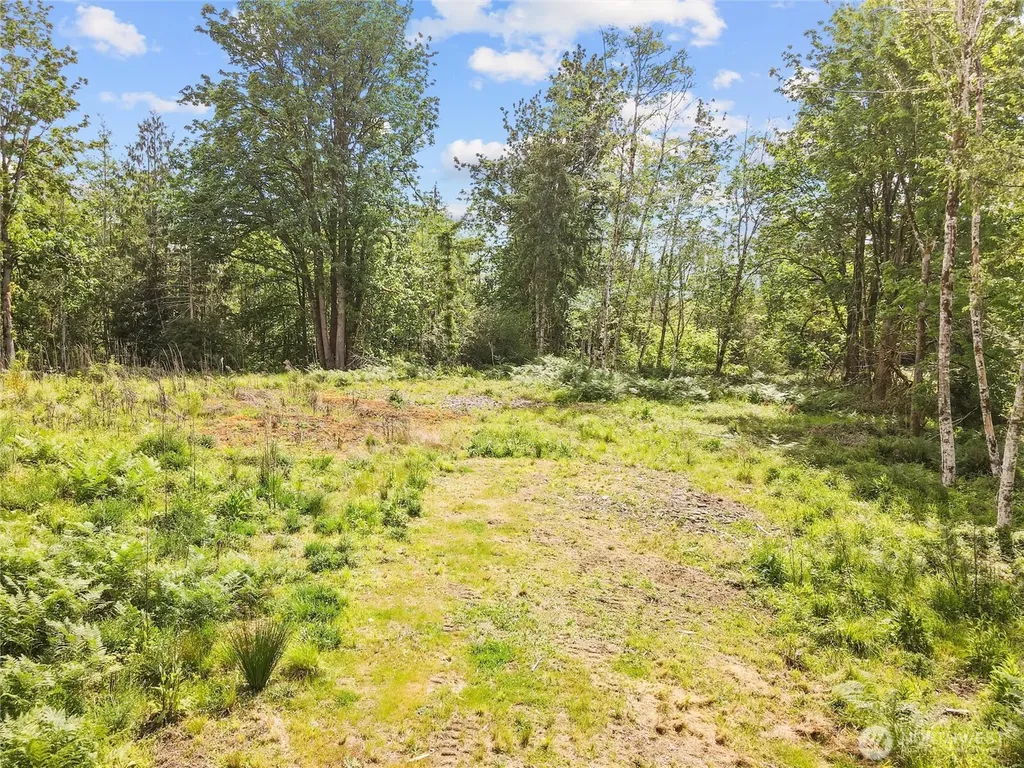 91 E Cascara Cove Lane Shelton WA 98584