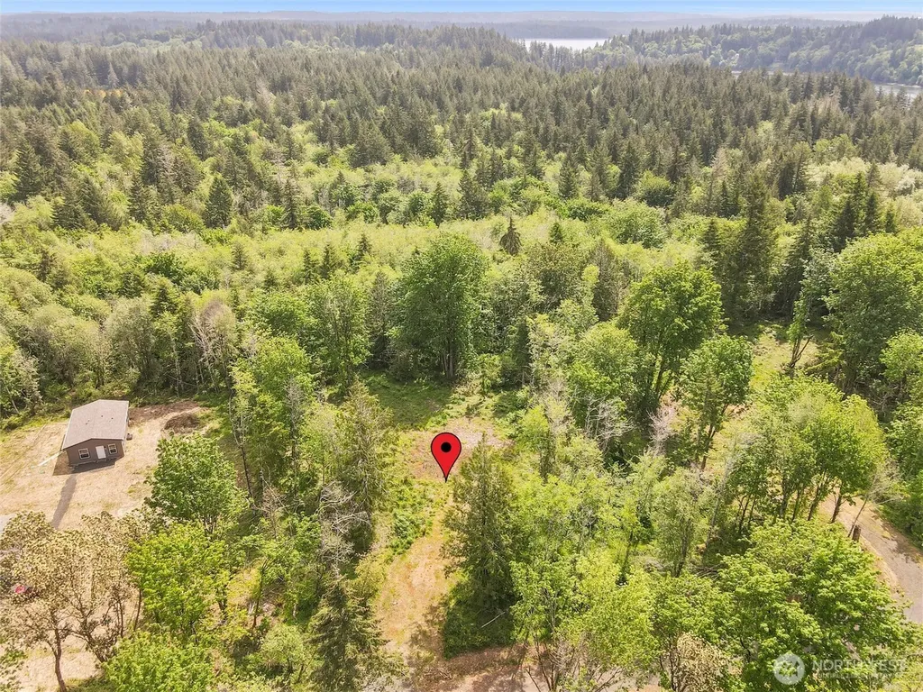 91 E Cascara Cove Lane Shelton WA 98584