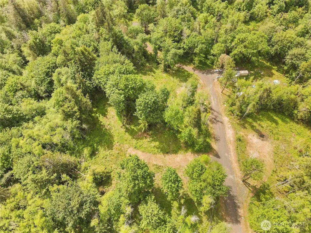 131 E Cascara Cove Lane Shelton WA 98584