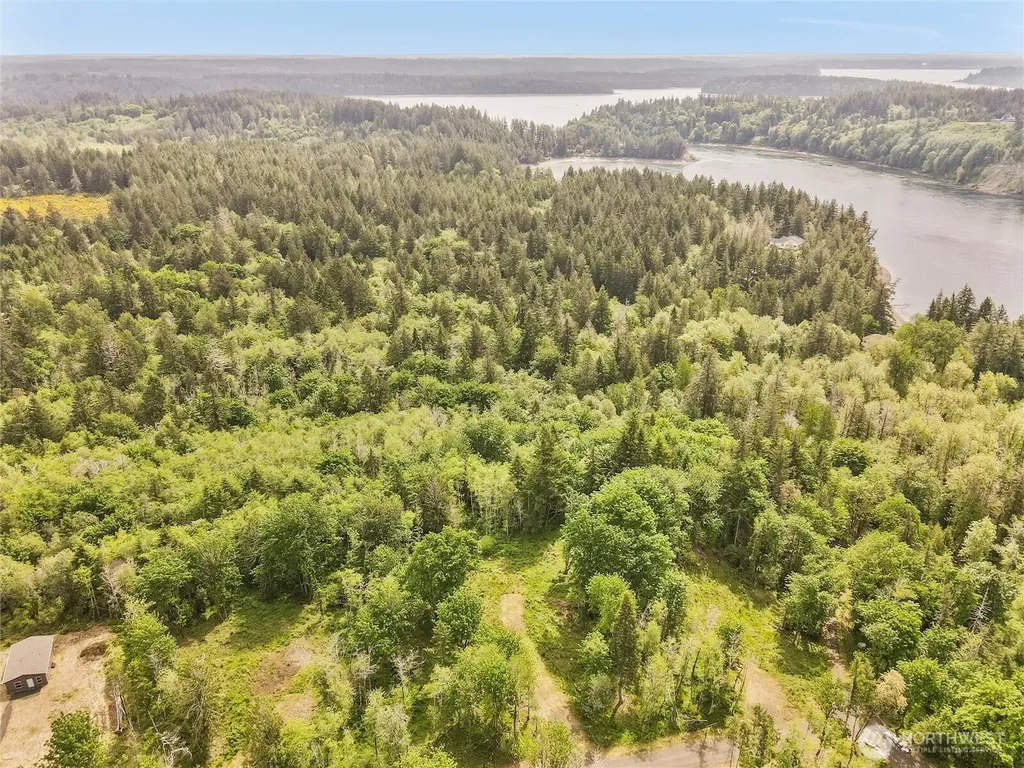 131 E Cascara Cove Lane Shelton WA 98584
