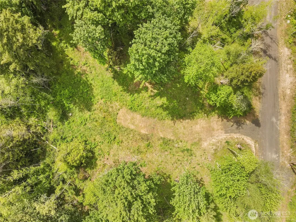 131 E Cascara Cove Lane Shelton WA 98584