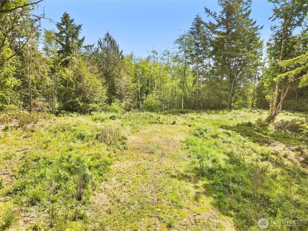 131 E Cascara Cove Lane Shelton WA 98584