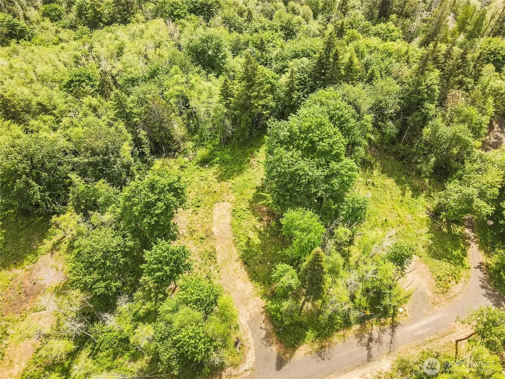 131 E Cascara Cove Lane Shelton WA 98584