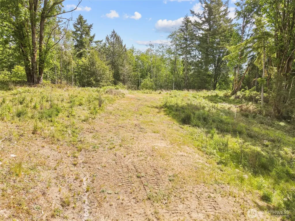 131 E Cascara Cove Lane Shelton WA 98584