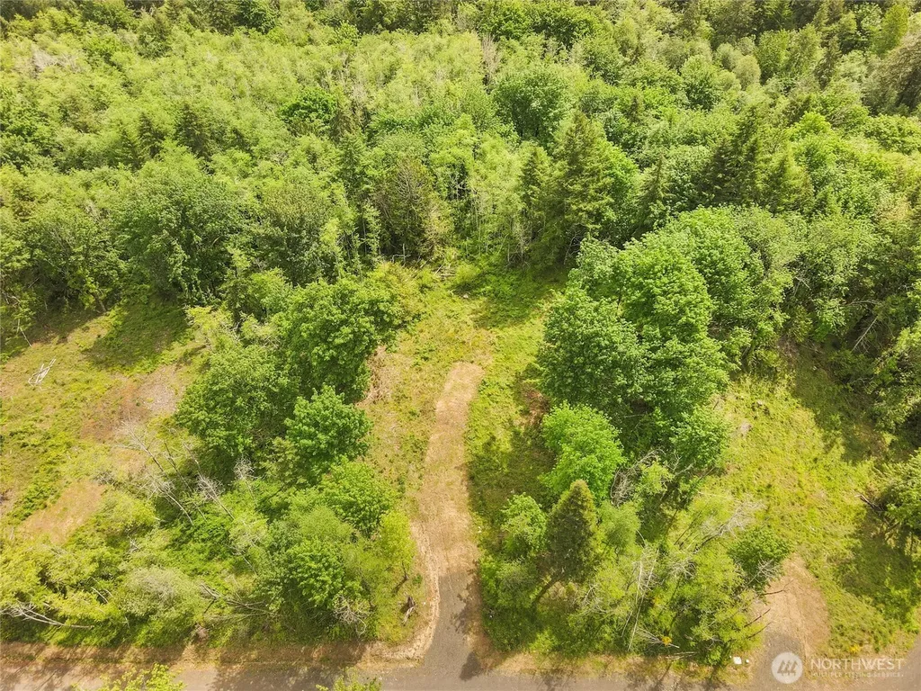 131 E Cascara Cove Lane Shelton WA 98584