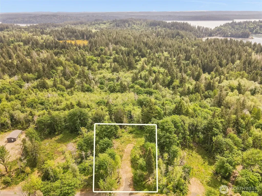 131 E Cascara Cove Lane Shelton WA 98584