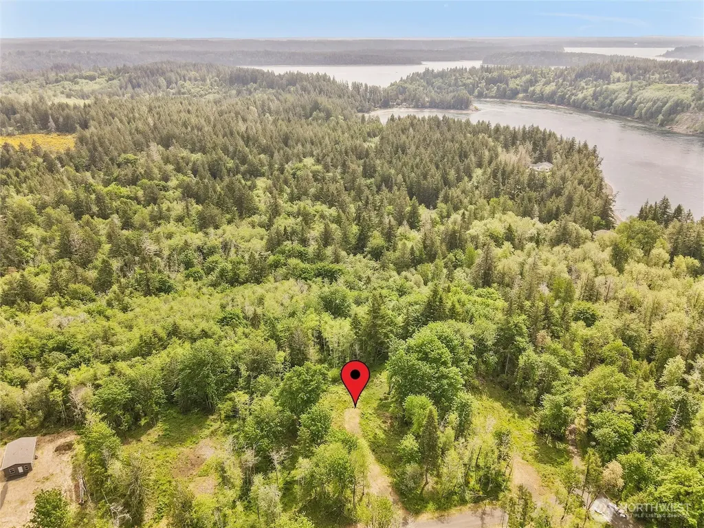 131 E Cascara Cove Lane Shelton WA 98584