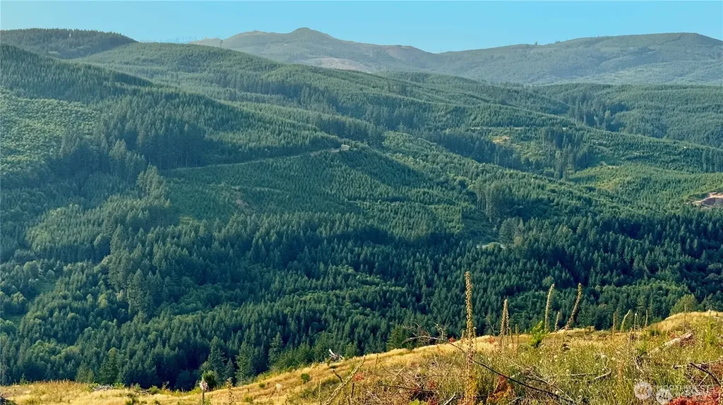 3727 Little Kalama River Road Woodland WA 98674
