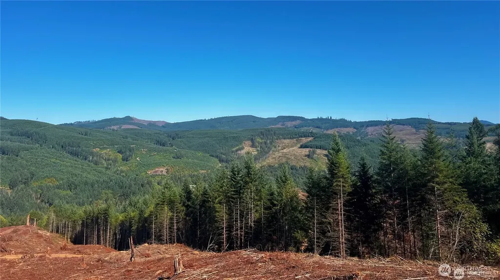 3727 Little Kalama River Road Woodland WA 98674