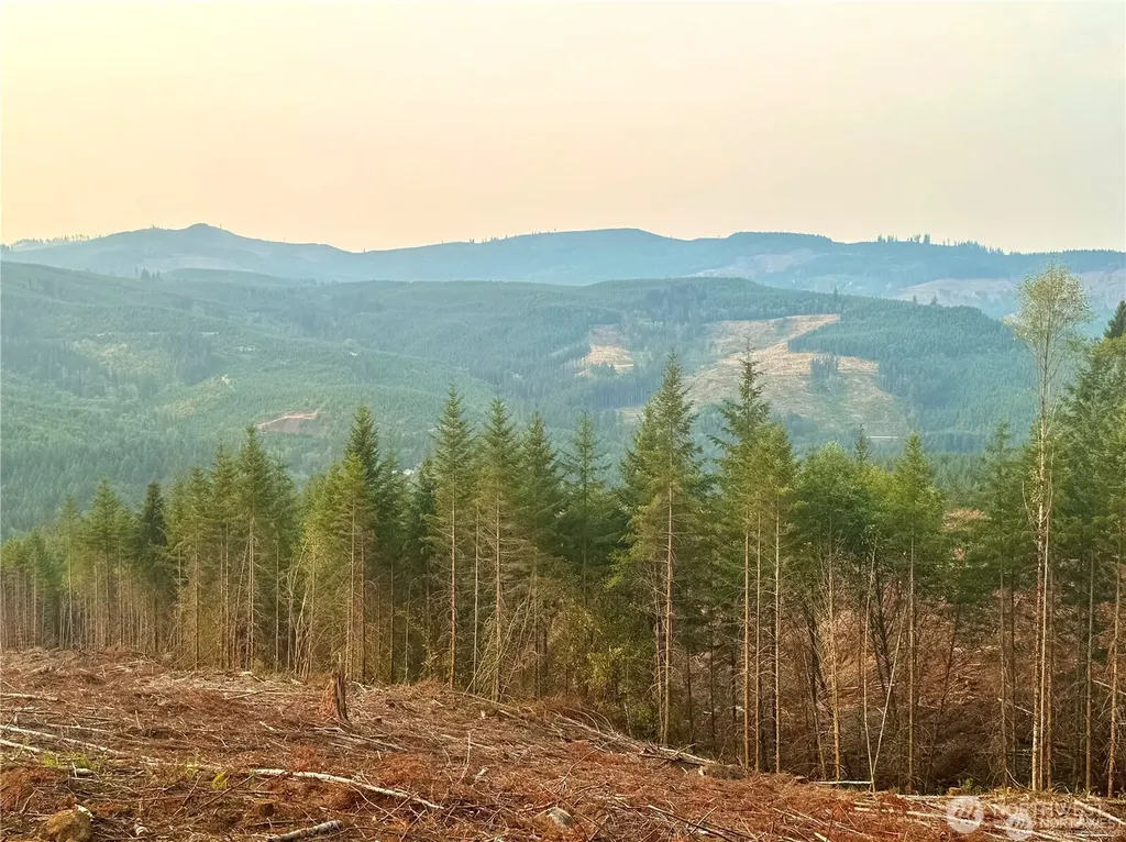 3727 Little Kalama River Road Woodland WA 98674