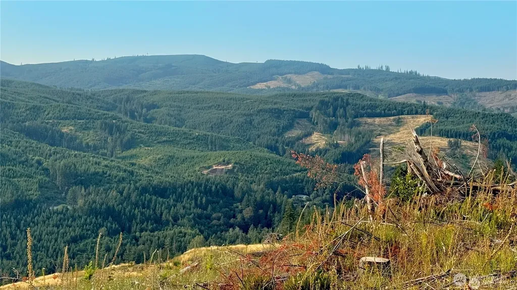 3727 Little Kalama River Road Woodland WA 98674