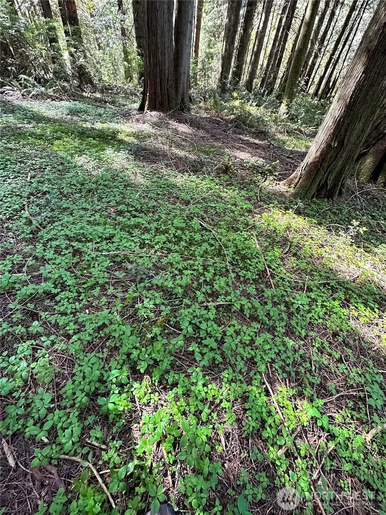 0 NW Lakeness Poulsbo WA 98370