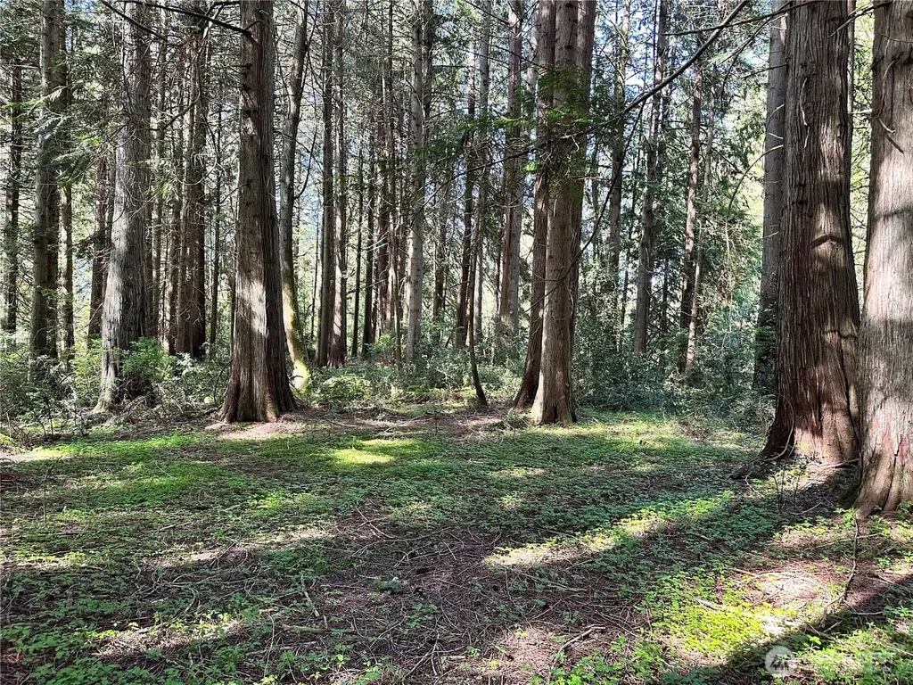 0 NW Lakeness Poulsbo WA 98370