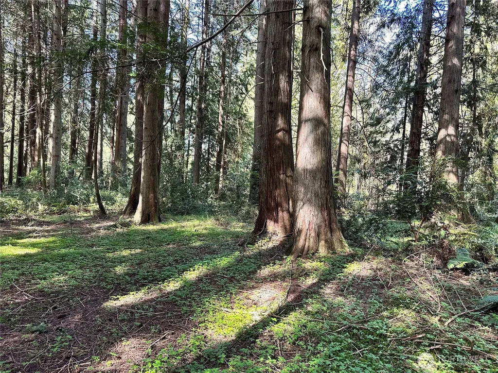 0 NW Lakeness Poulsbo WA 98370