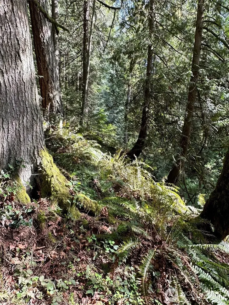 0 NW Lakeness Poulsbo WA 98370