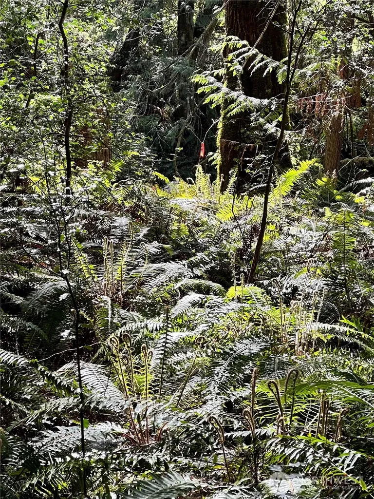 0 NW Lakeness Poulsbo WA 98370
