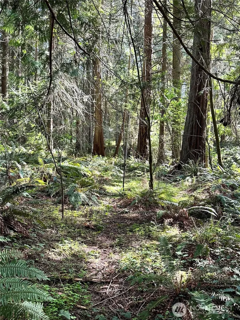 0 NW Lakeness Poulsbo WA 98370