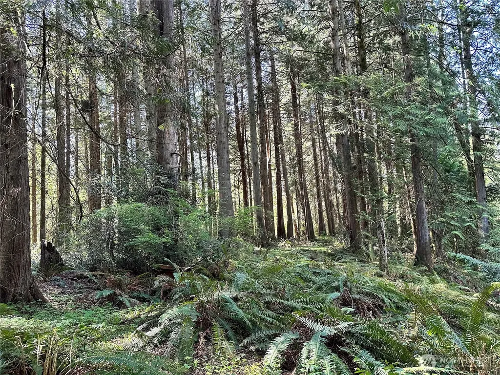 0 NW Lakeness Poulsbo WA 98370