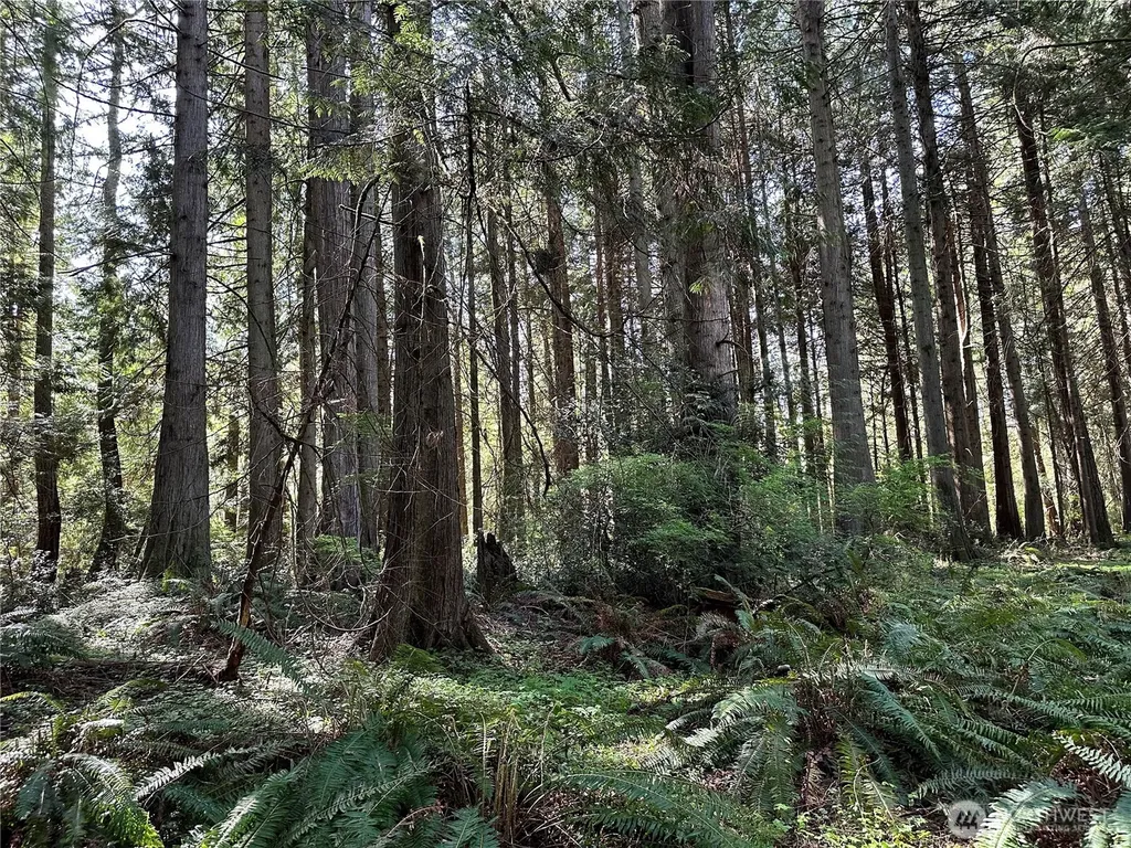 0 NW Lakeness Poulsbo WA 98370