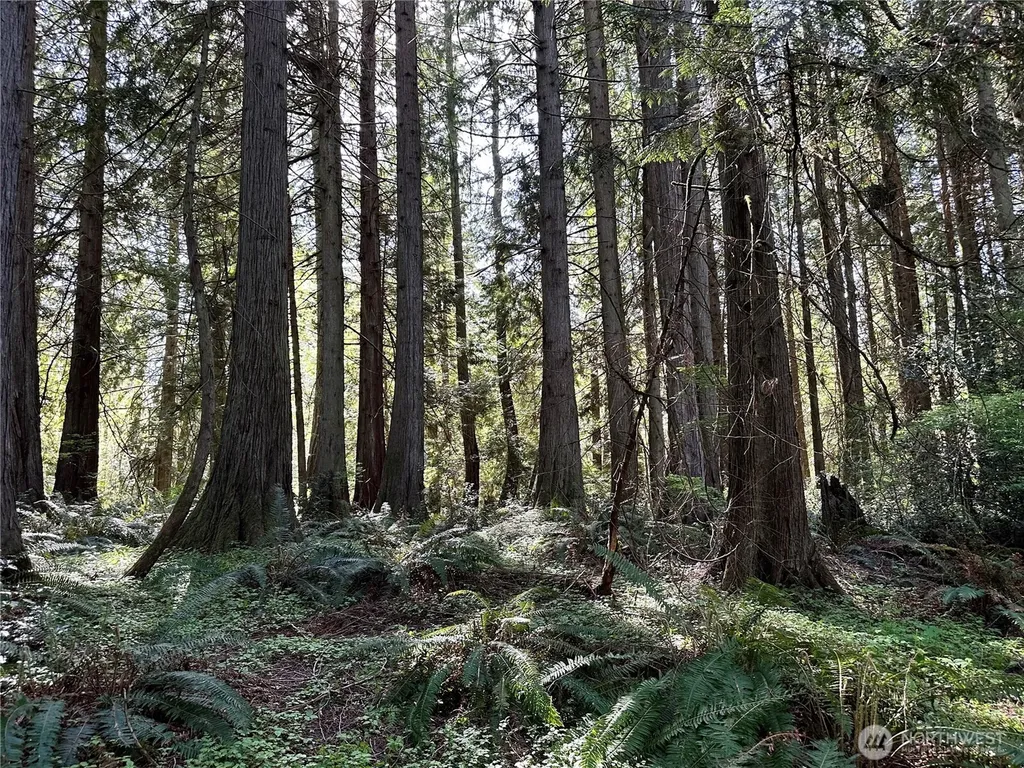 0 NW Lakeness Poulsbo WA 98370