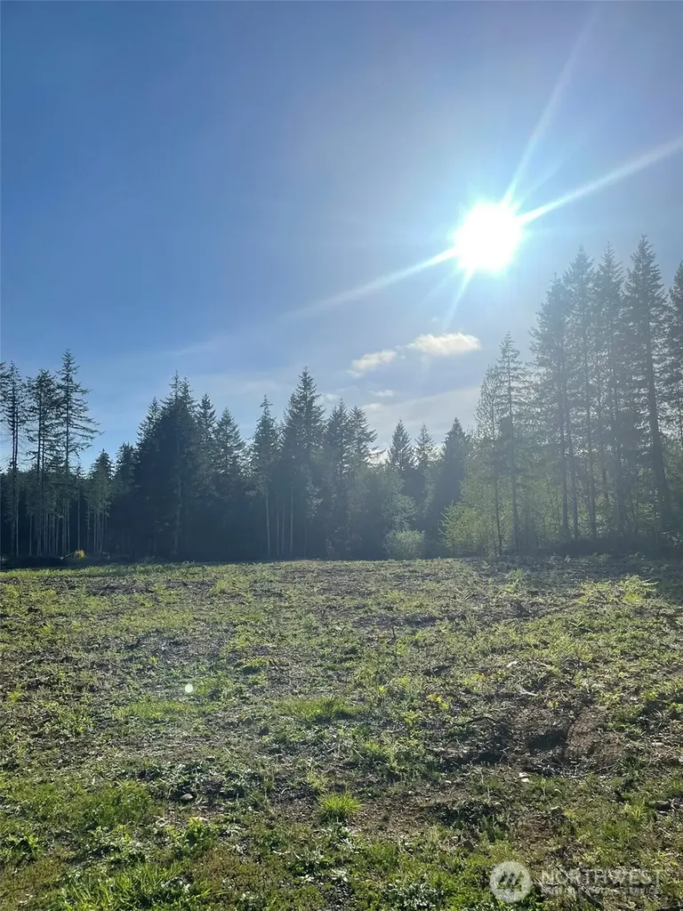 14253 W Cloquallum Road Elma WA 98546