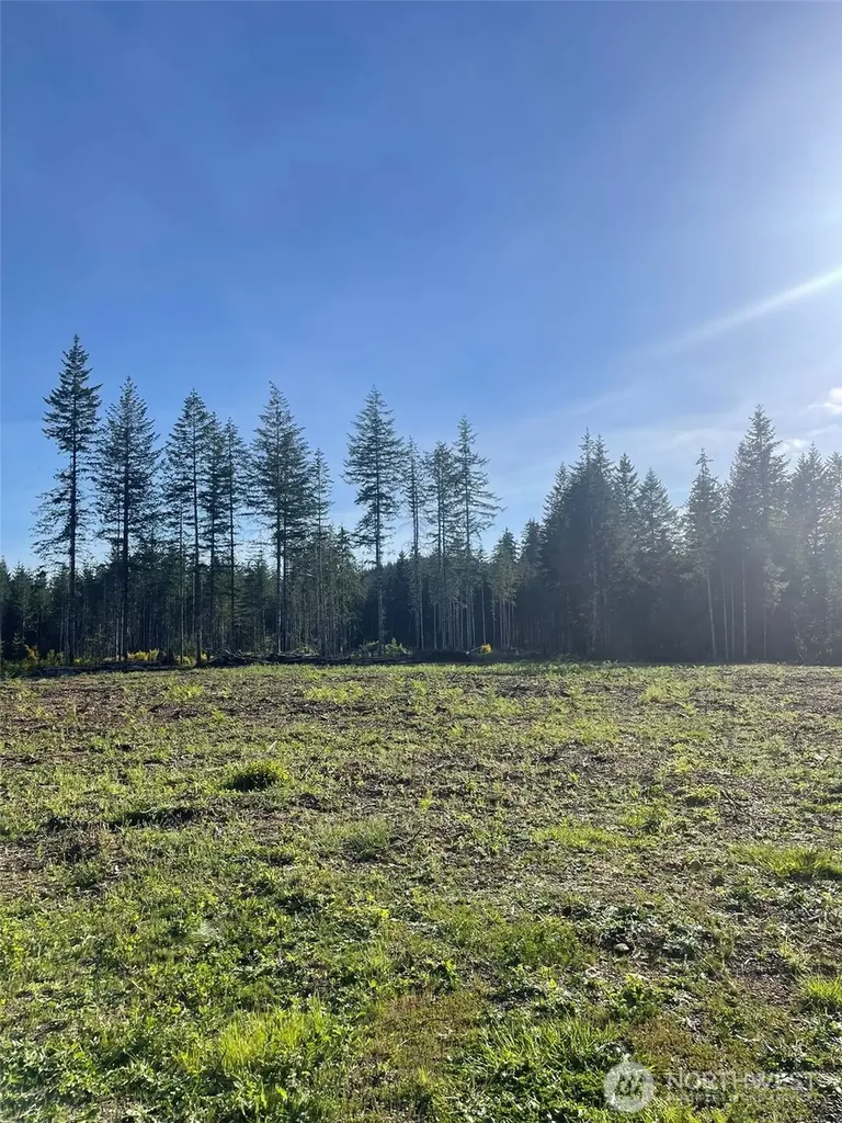 14253 W Cloquallum Road Elma WA 98546