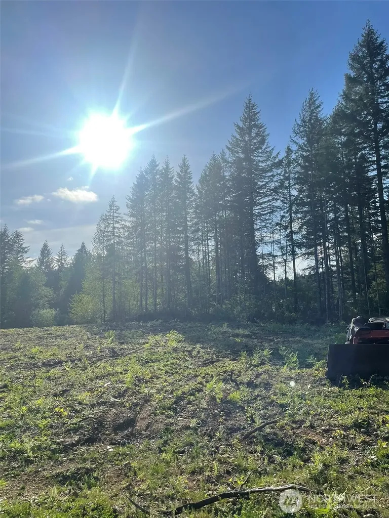 14253 W Cloquallum Road Elma WA 98546