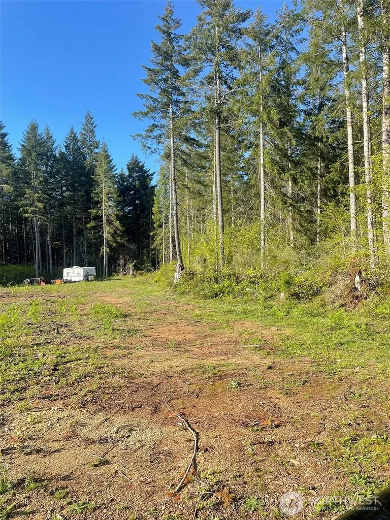 14253 W Cloquallum Road Elma WA 98546