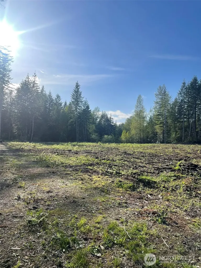 14253 W Cloquallum Road Elma WA 98546