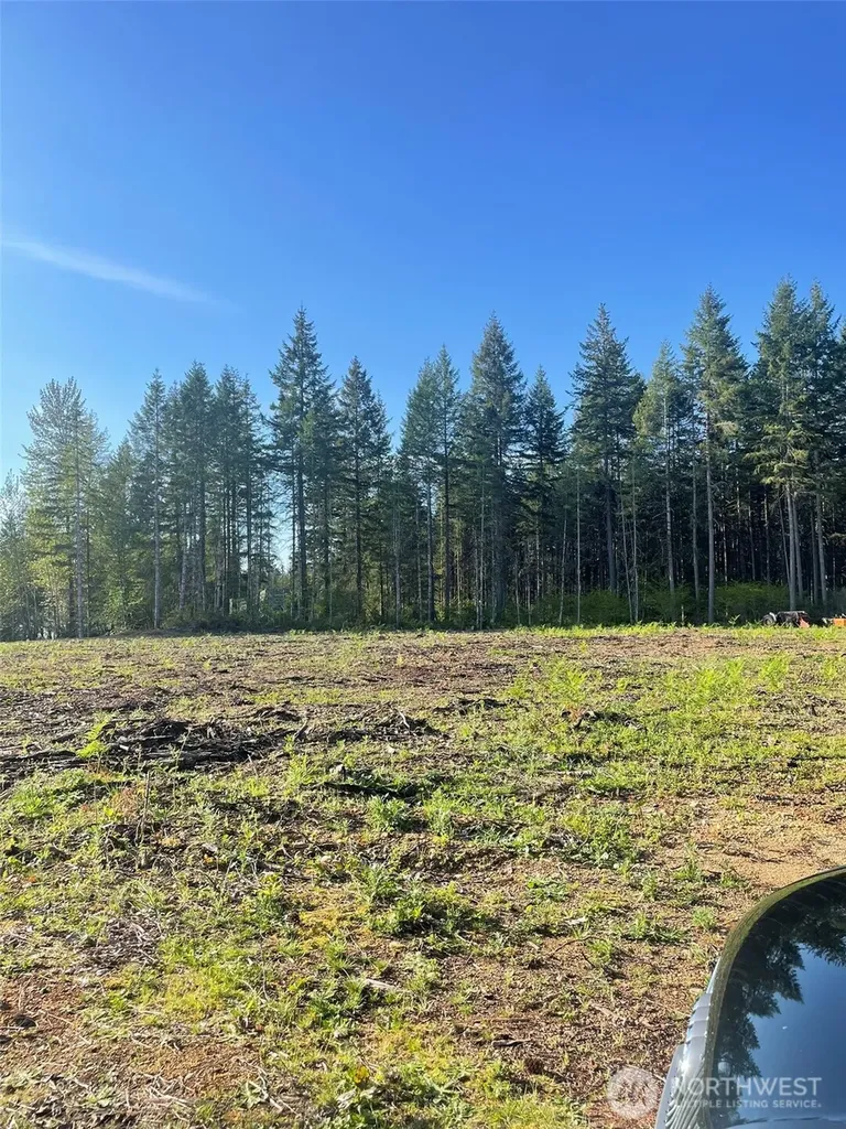 14253 W Cloquallum Road Elma WA 98546