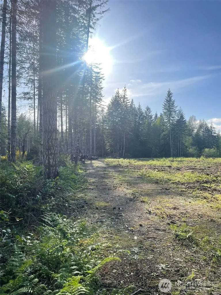 14253 W Cloquallum Road Elma WA 98546