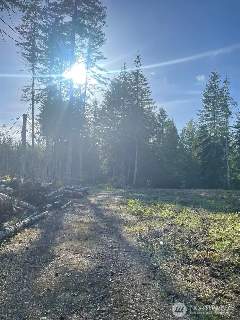 14253 W Cloquallum Road Elma WA 98546