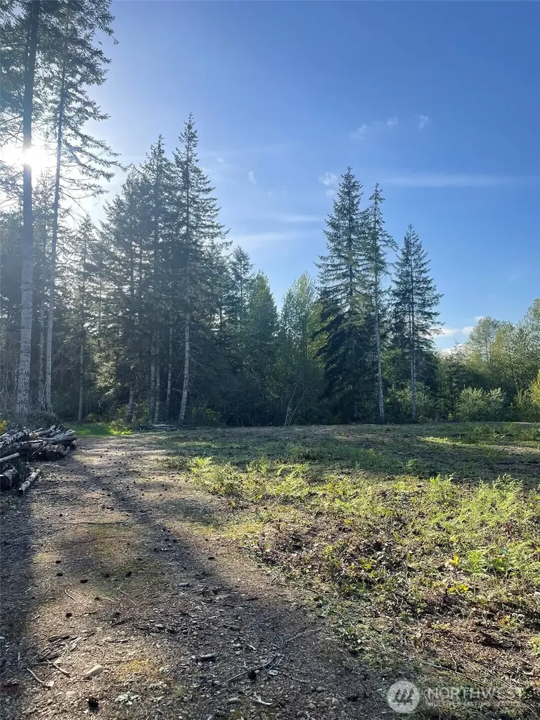 14253 W Cloquallum Road Elma WA 98546