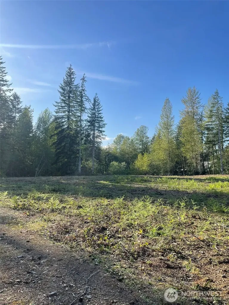 14253 W Cloquallum Road Elma WA 98546