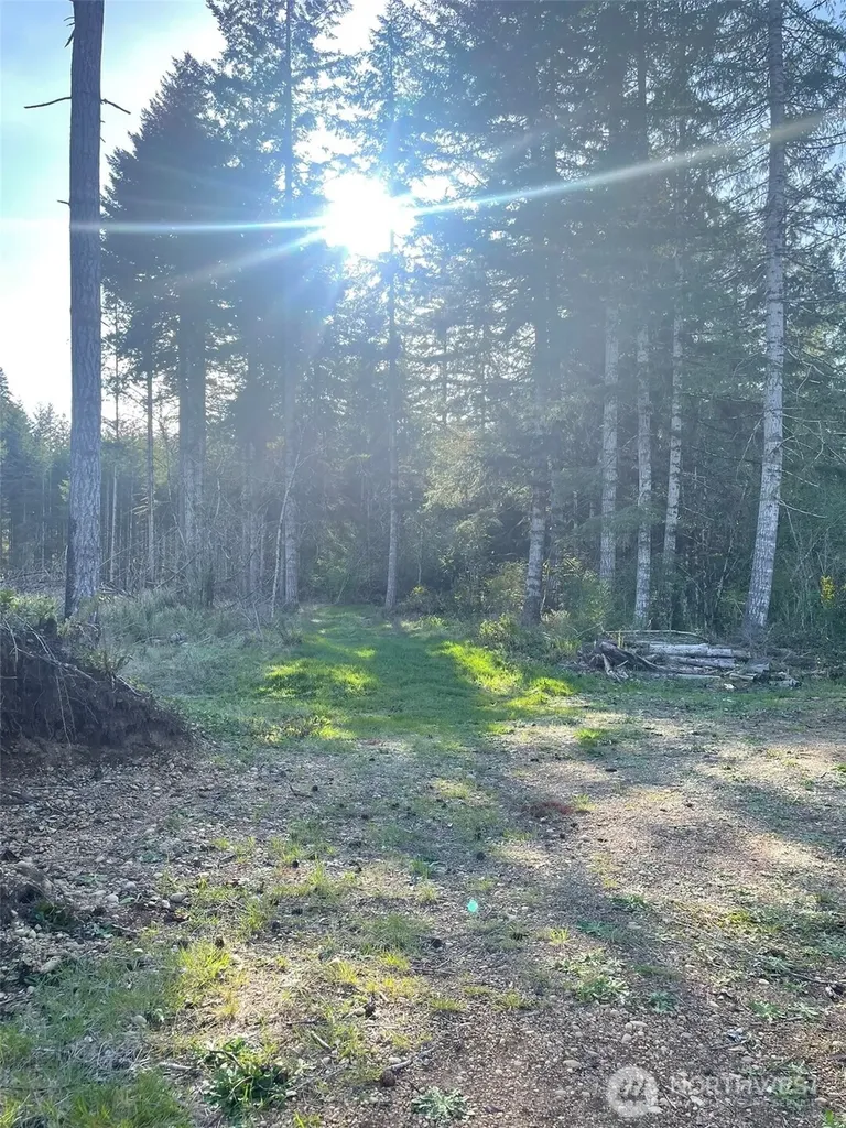 14253 W Cloquallum Road Elma WA 98546