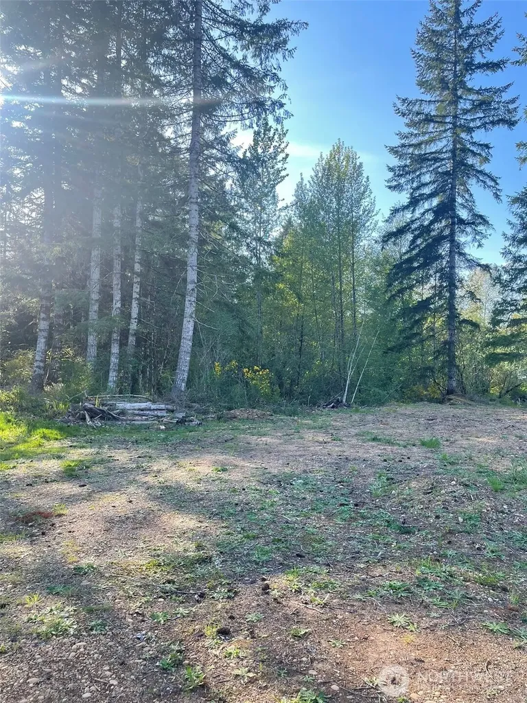 14253 W Cloquallum Road Elma WA 98546