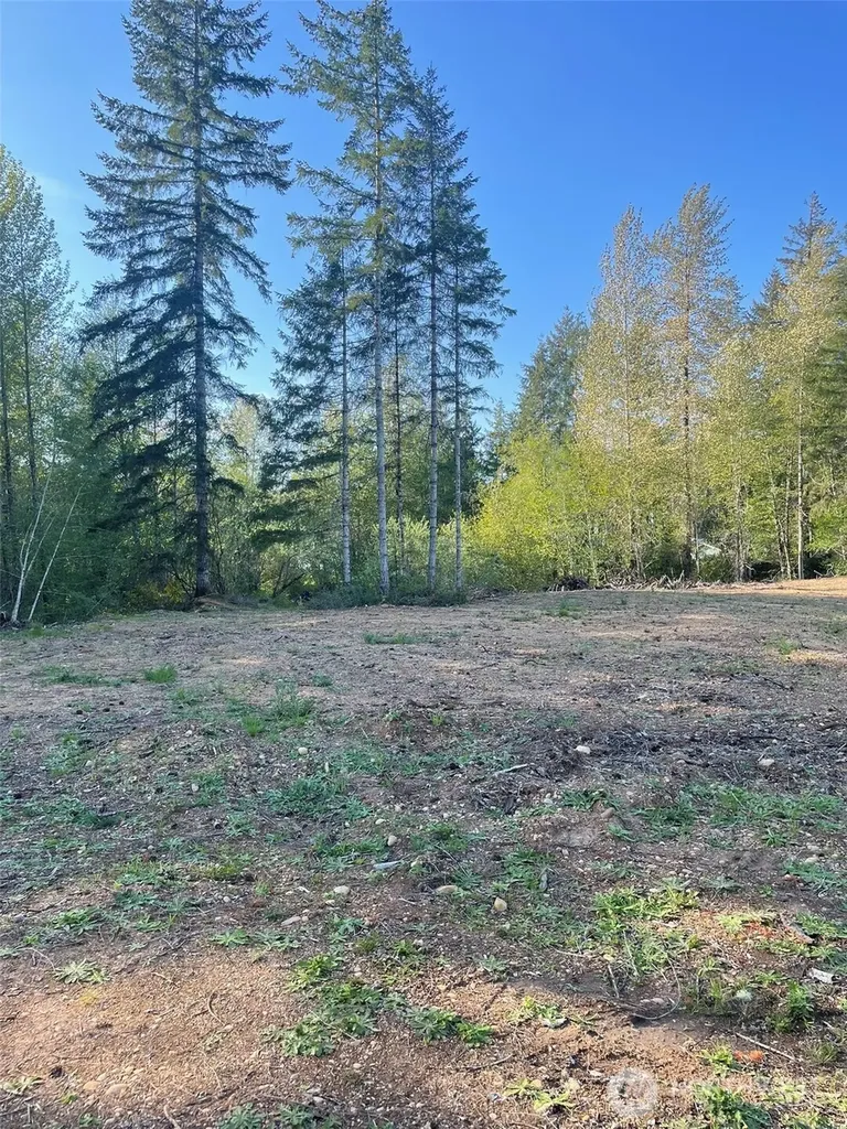 14253 W Cloquallum Road Elma WA 98546