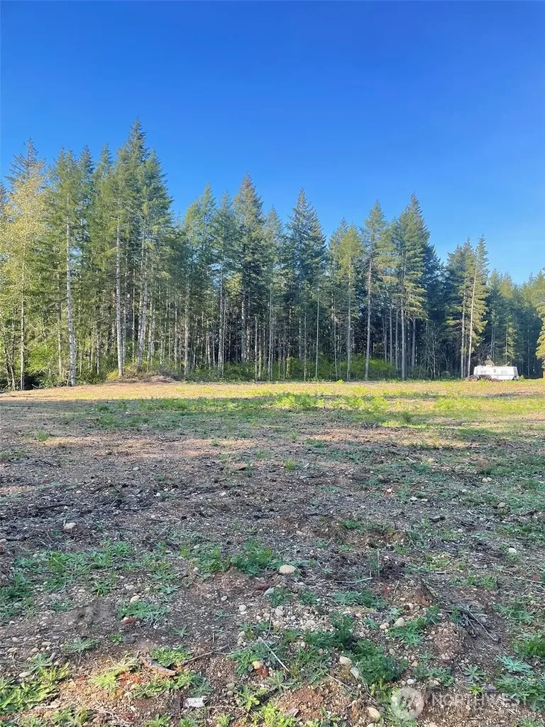 14253 W Cloquallum Road Elma WA 98546