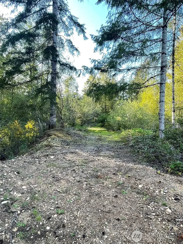 14253 W Cloquallum Road Elma WA 98546