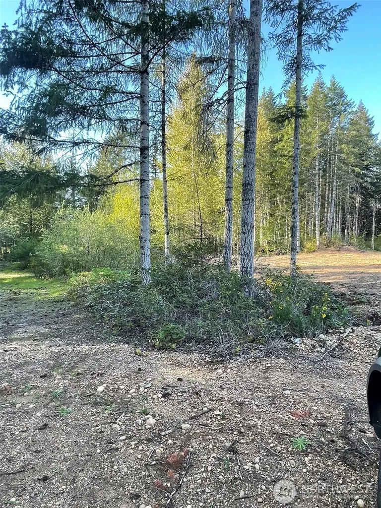 14253 W Cloquallum Road Elma WA 98546