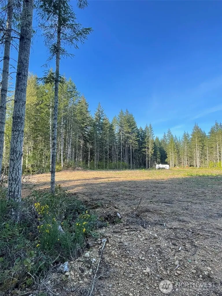 14253 W Cloquallum Road Elma WA 98546