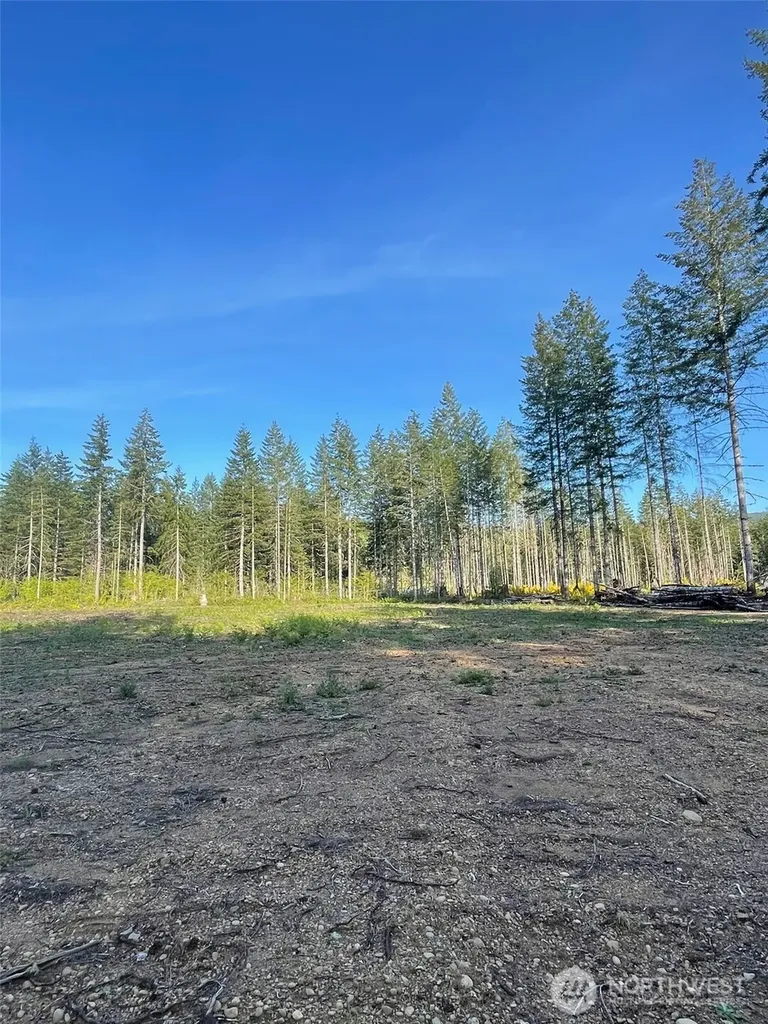 14253 W Cloquallum Road Elma WA 98546