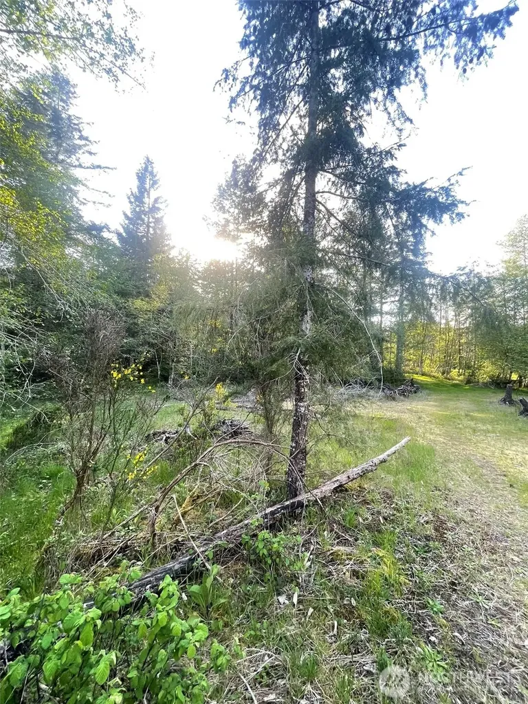 14253 W Cloquallum Road Elma WA 98546