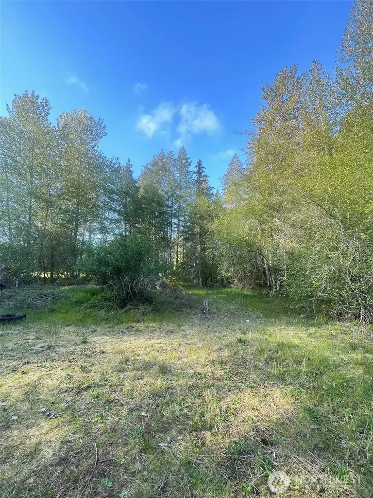 14253 W Cloquallum Road Elma WA 98546