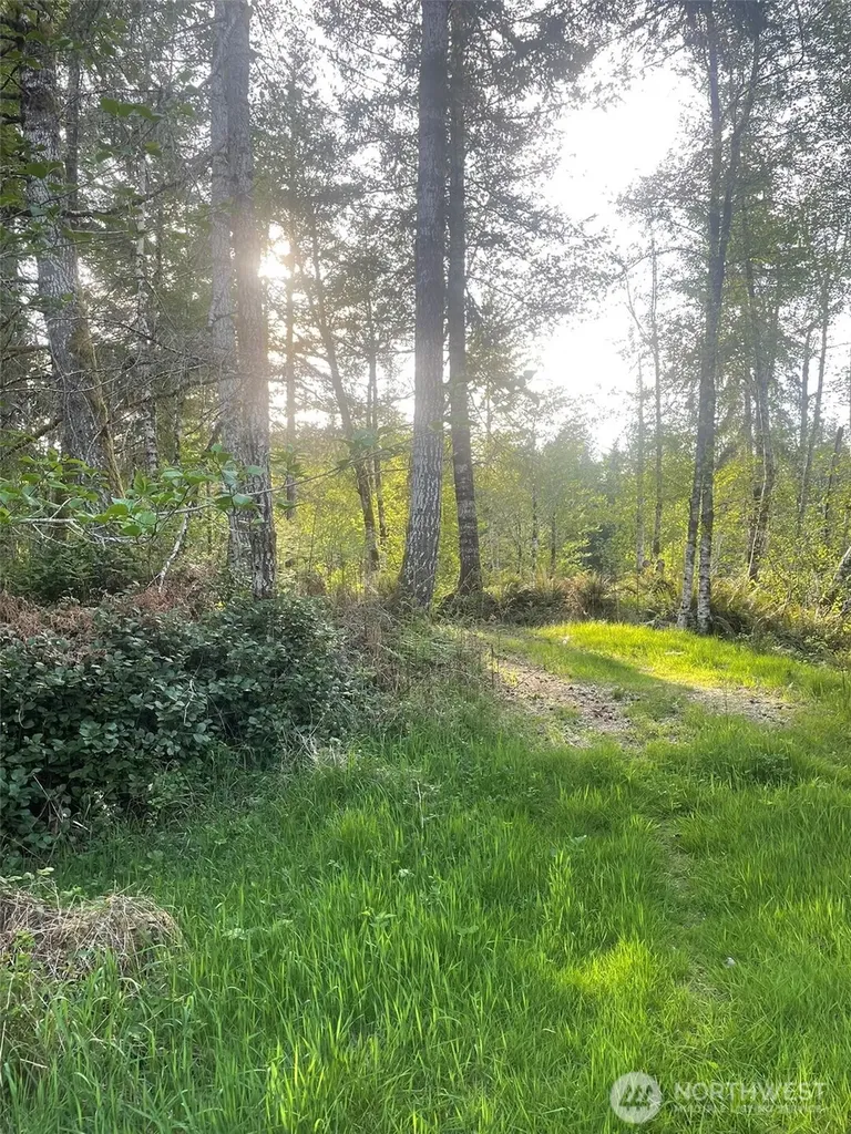 14253 W Cloquallum Road Elma WA 98546